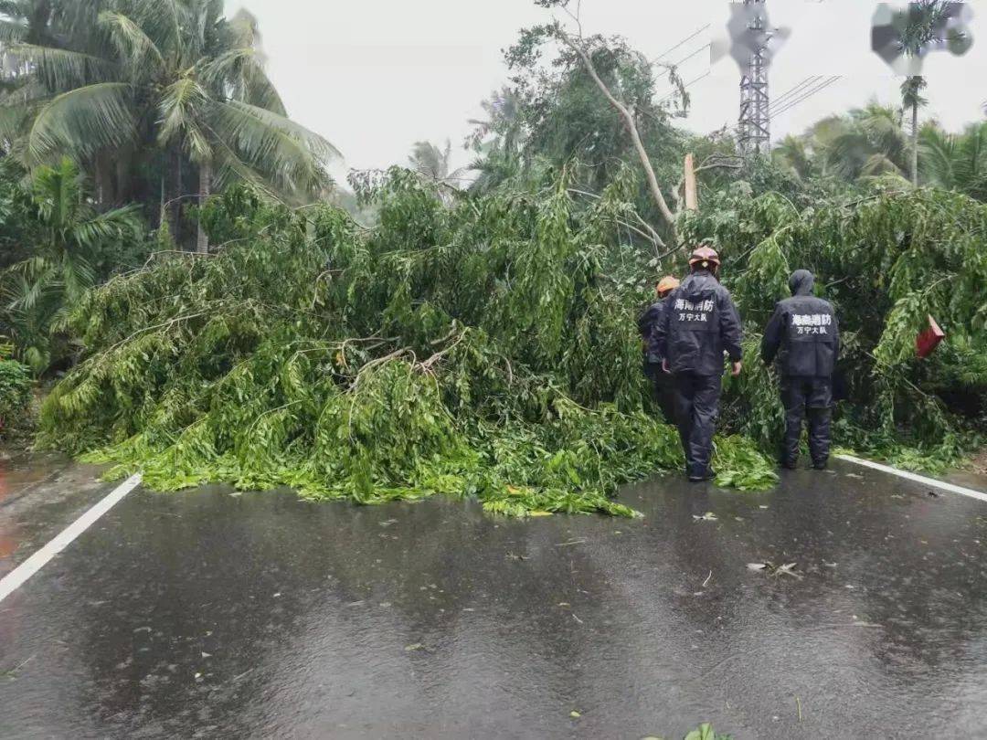 海口台风最新预警信号，详细分析与观点阐述