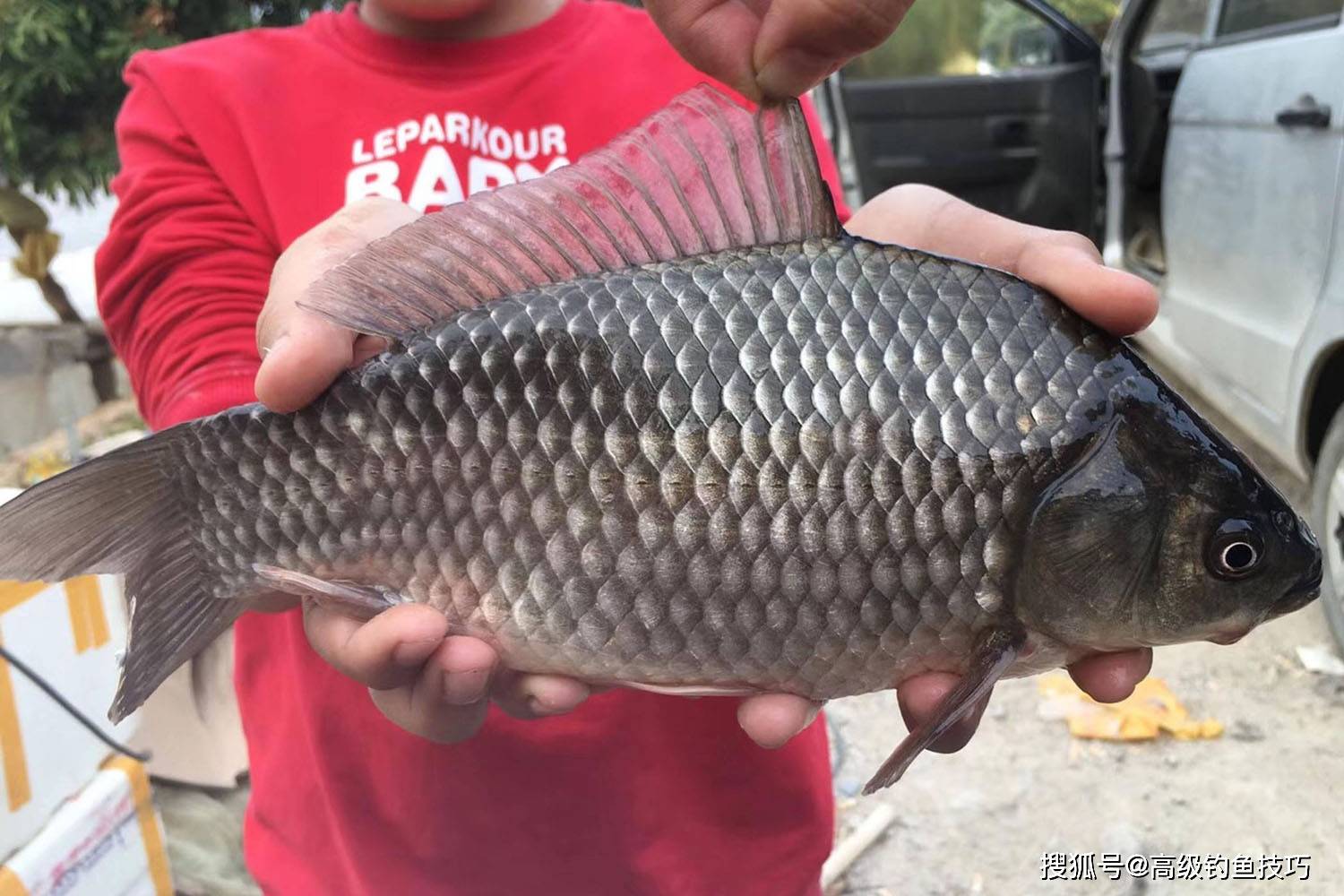 第1600页