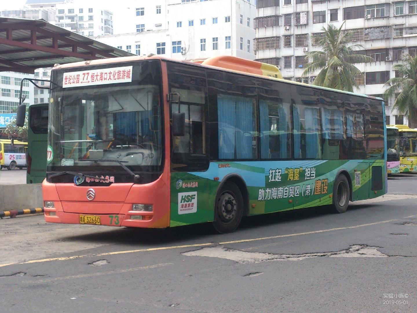 海口最新公交车，自然美景探寻之旅启程