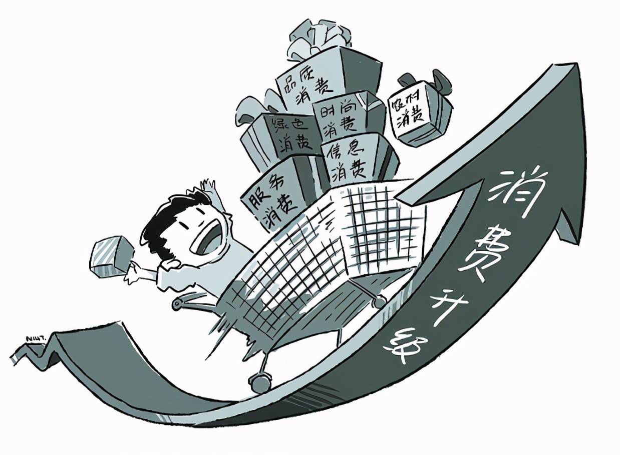 禾晏最新章节深度解析与观点探讨