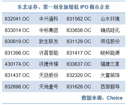 券商最新政策揭秘，小巷中的宝藏与特色小店的独特魅力探索