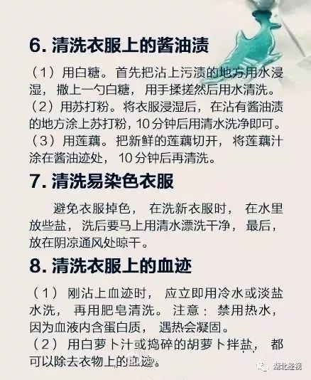 小强小说网最新动态，学习变化中的自信与成就感的奇妙旅程