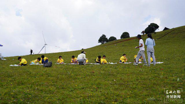 雷人最新版，自然美景的奇妙旅行探索