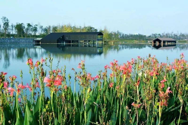 中科院最新公告，启程探索自然美景的诗意之旅