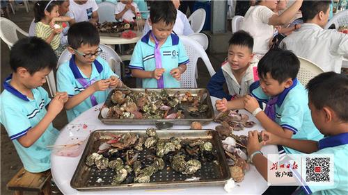 探索海洋宝藏，最新赶海体验带来极致乐趣