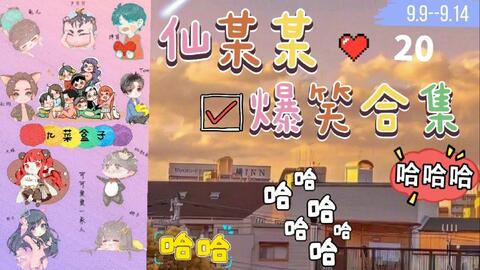 冒险岛M最新更新，日常趣事与友情纽带的冒险之旅
