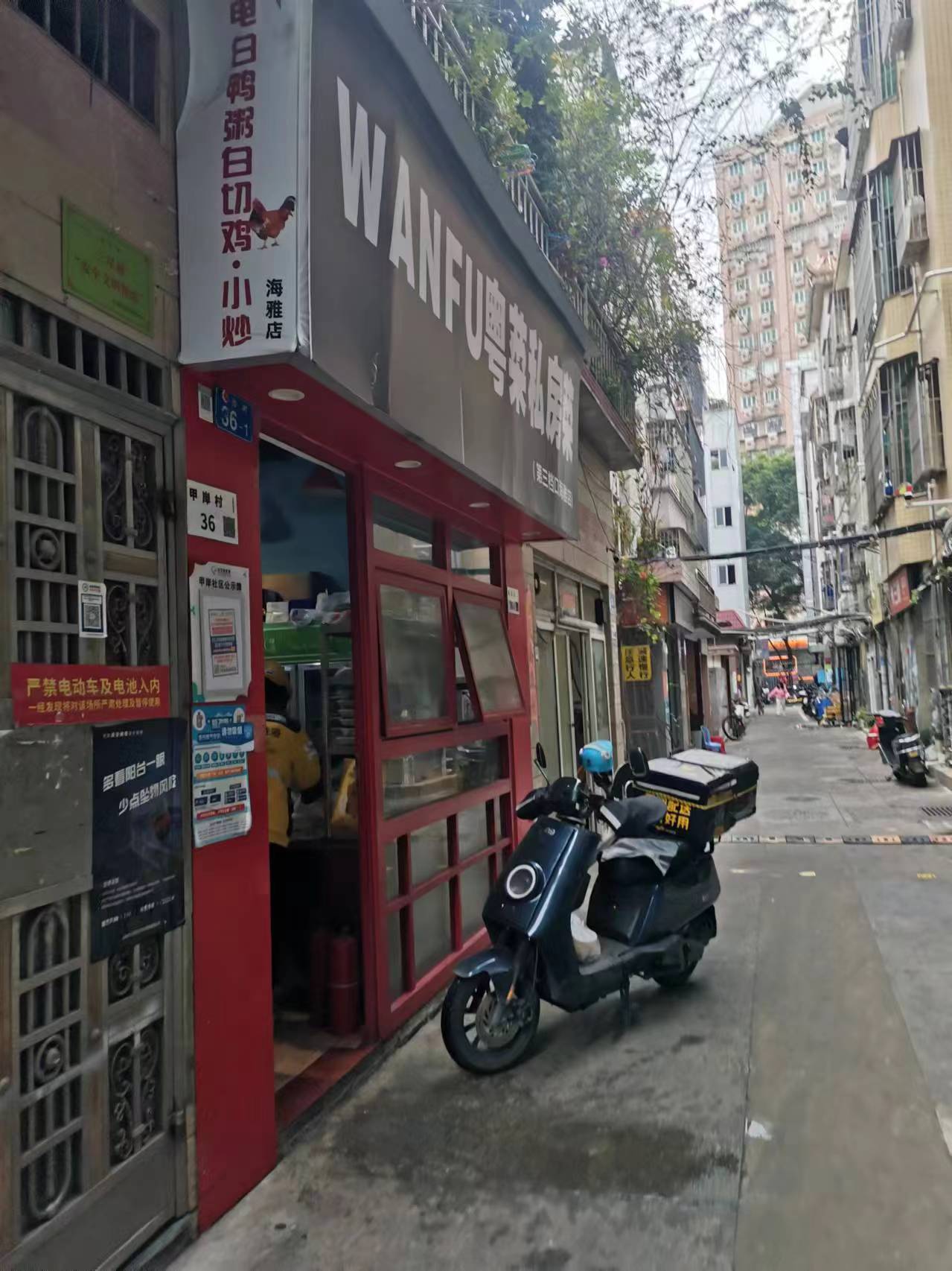 广东鹦鹉台风最新消息与小巷特色小店探秘