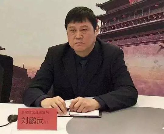 保定交通局长最新论述概览