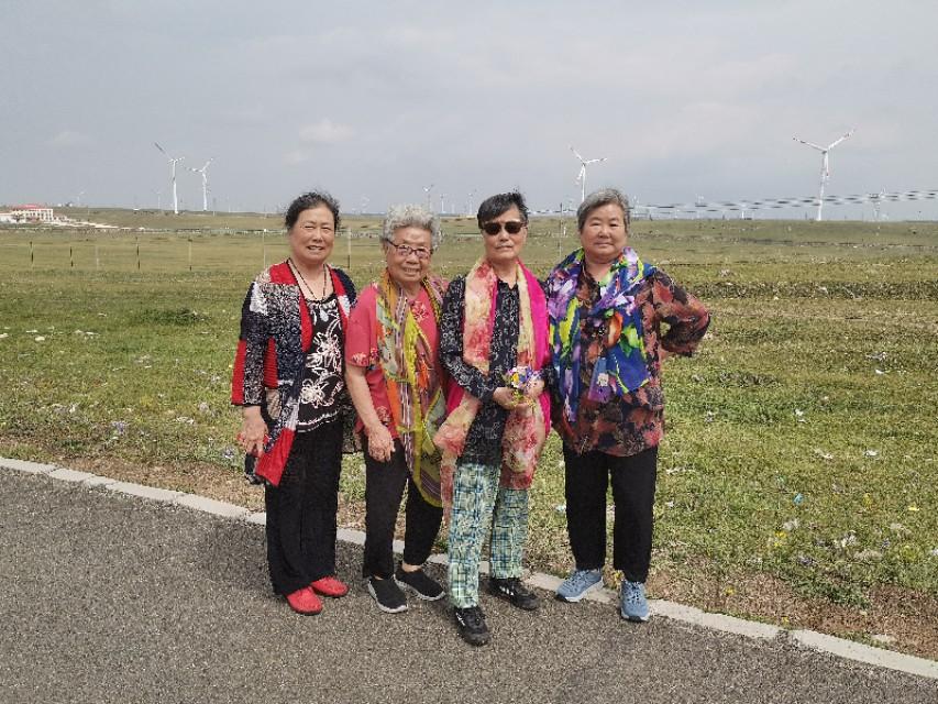 最新手机探索自然美景的旅行之旅