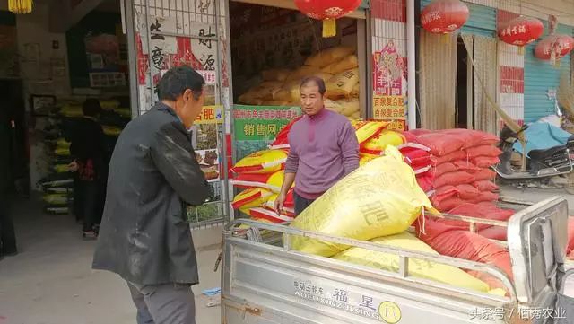 最新猪价上涨趋势分析，小巷深处的特色小店探秘之旅