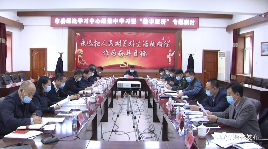 王欣最新项目的深度解析与观点论述