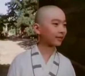 太极张三丰电影演员阵容表