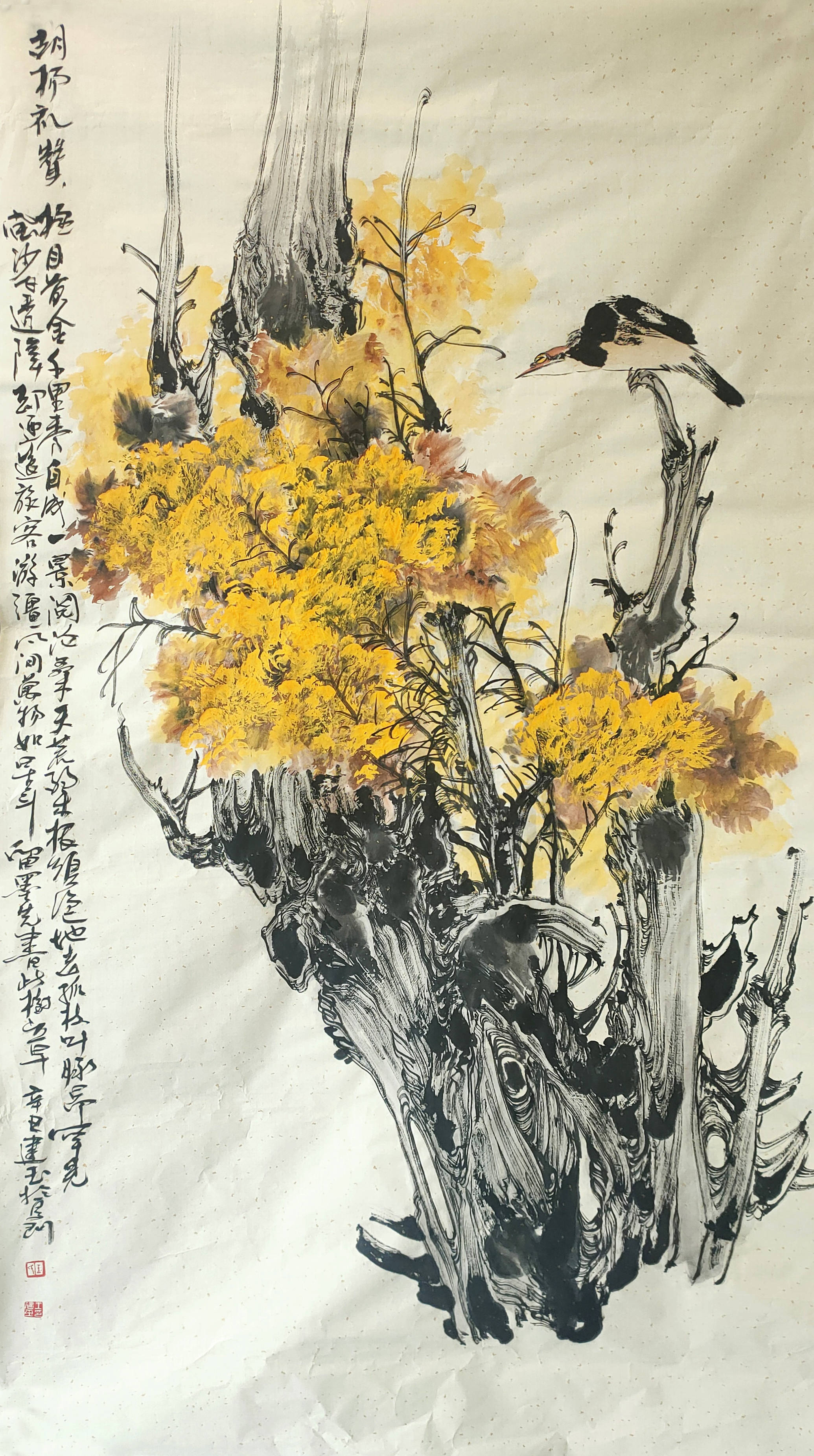 家电视剧，制作与欣赏的全方位指南