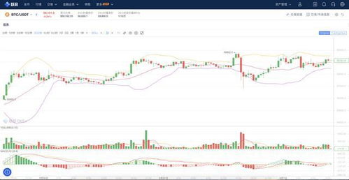 期货行情通深度解析与观点阐述