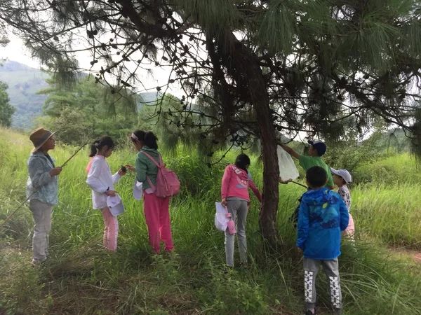 今日萨德动态，自然美景探索之旅，追寻内心平和与喜悦