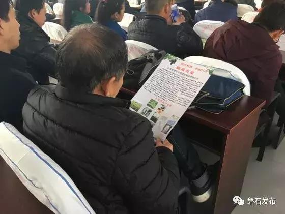 呼兰招聘信息，小巷中的职业机遇