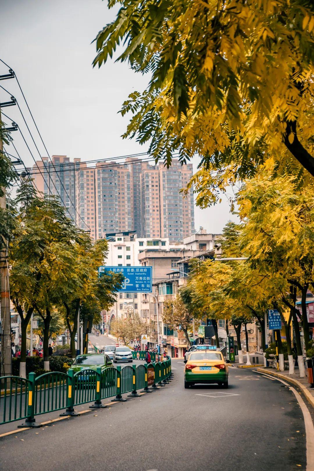 最新瓶装白酒，与自然美景的邂逅，探寻内心宁静的旅程