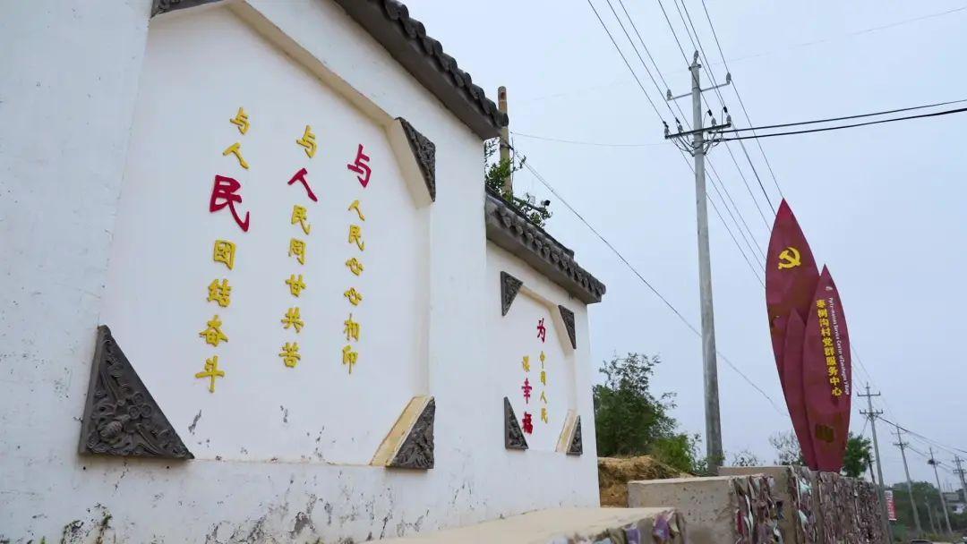 荥阳最新资讯，拥抱自然，内心宁静之旅启程