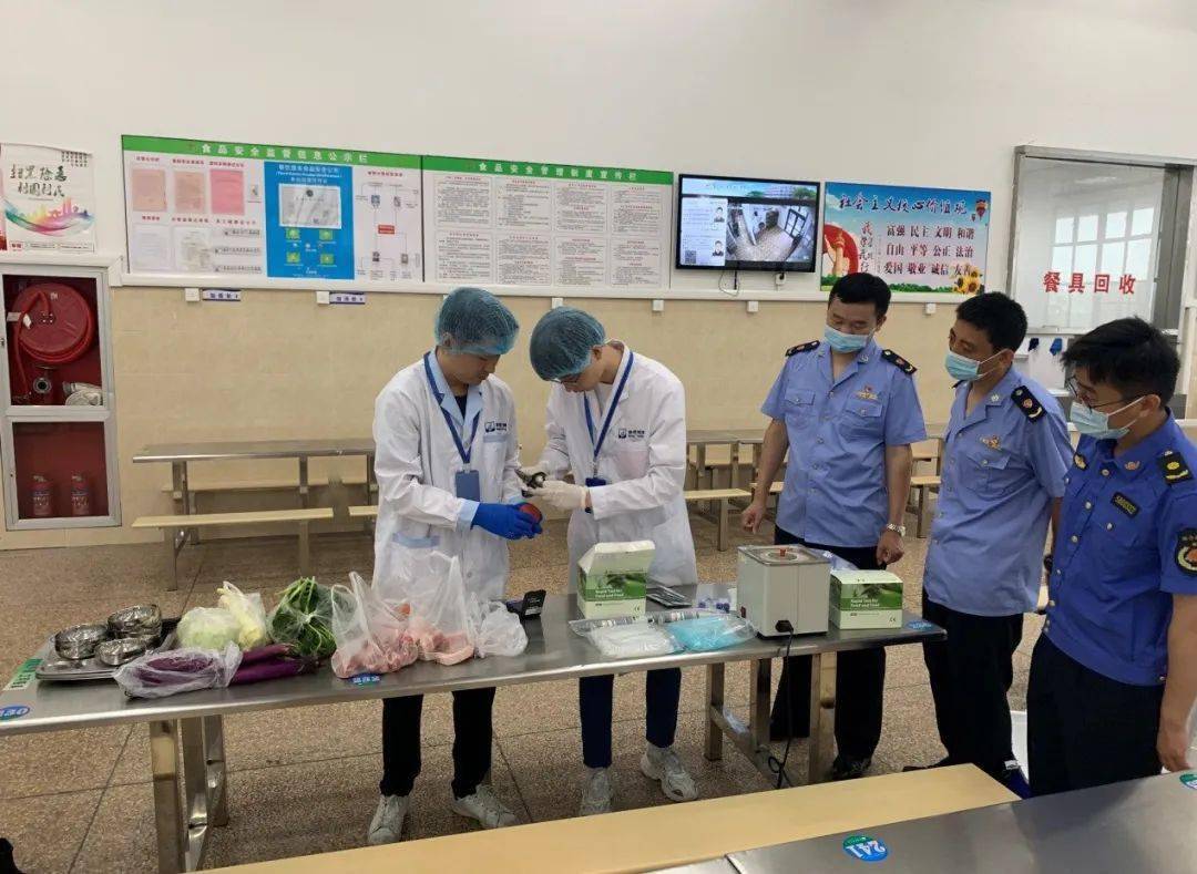 晓晓最新资讯，任务完成与技能学习步骤指南