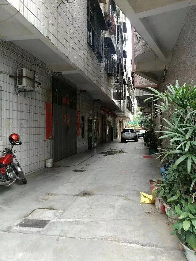 金证股票行情深度解析及市场展望