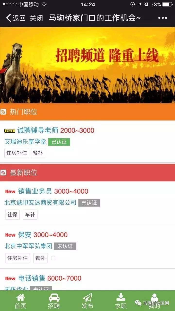 西藏最新职位招聘，与自然共舞，探寻内心宁静之旅