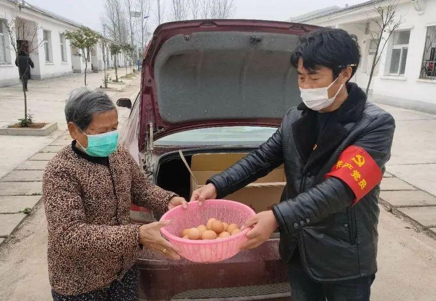 河北省唐县鸡蛋行情深度解析与论述