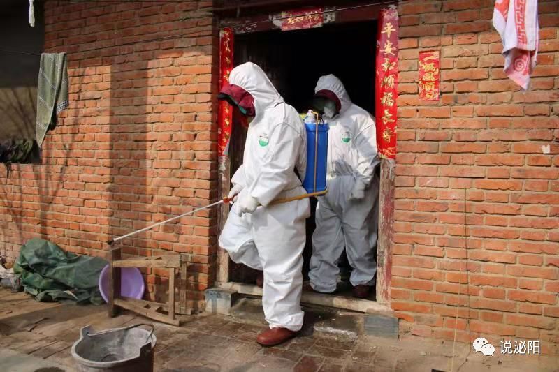 泌阳疫情最新动态，一线防控与公众应对更新报告