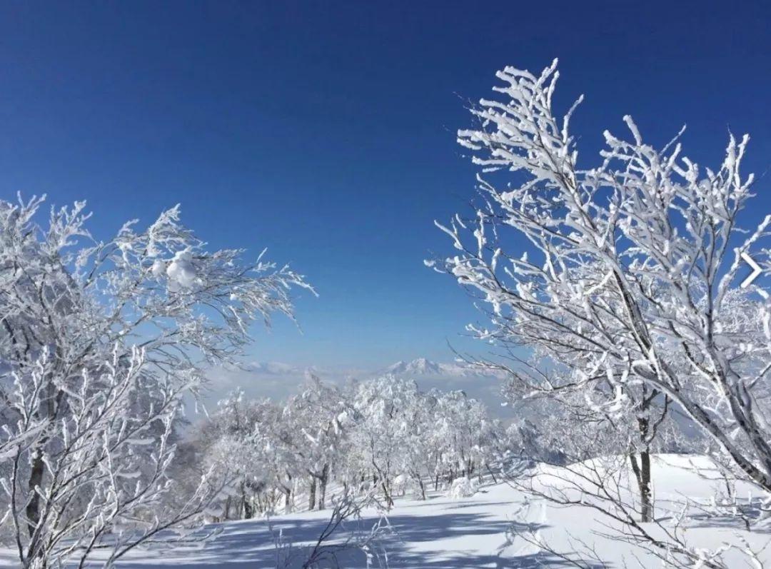 最新滑道技术，一路滑行，开启无限可能之旅