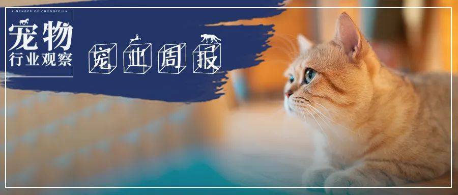 宠物圈最新,宠物圈最新动态，潮流、热点与影响