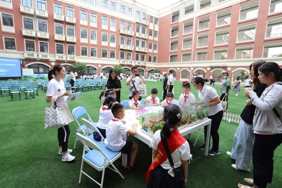 南京最新展，自然美景的探索之旅
