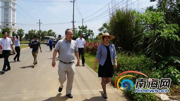 海口最新通告，城市发展与民生改善的最新动态