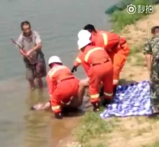 运城最新死亡事件深度分析与个人观点观察