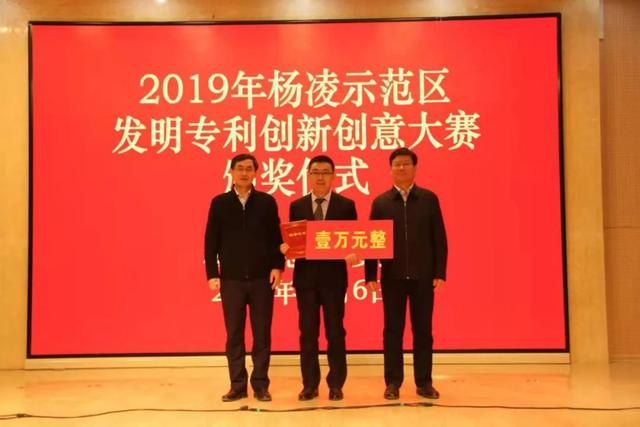 金点子最新，创新与智慧的汇聚，激发无限可能
