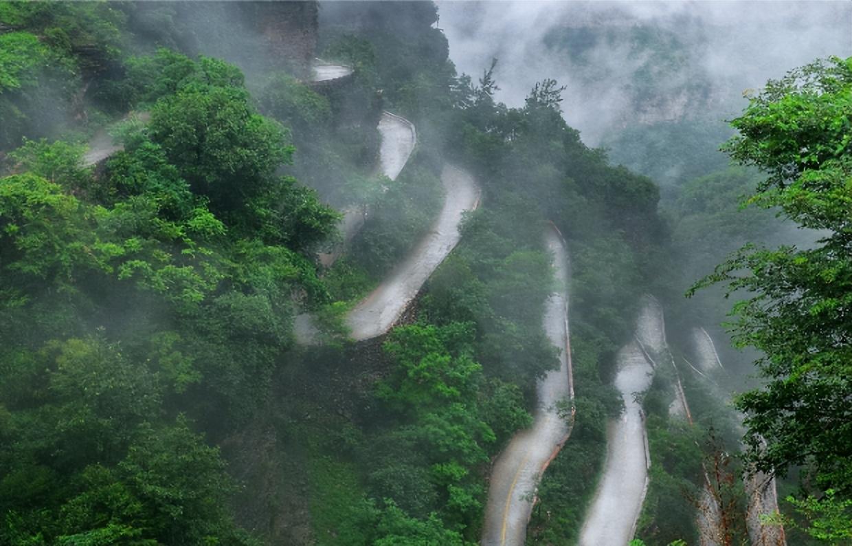 暴雨最新视频，雨中奇遇与温馨日常记录