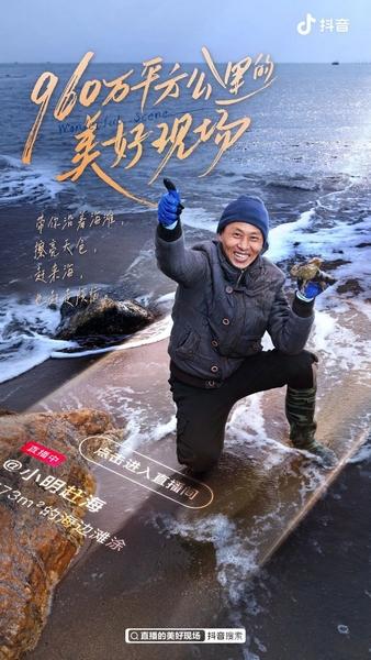 第1233页