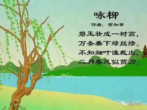 最新古诗幽默，与自然共舞的一场奇妙旅行