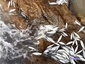 惠州最新死亡事件，变化中的力量与学习的重要性