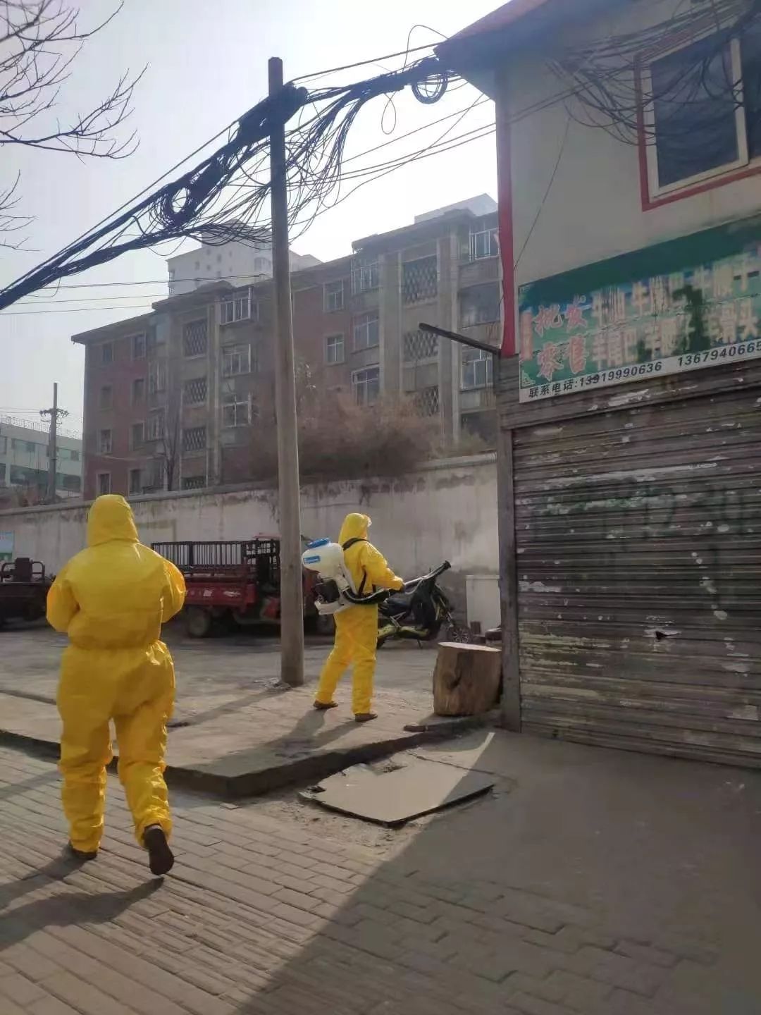 第1205页