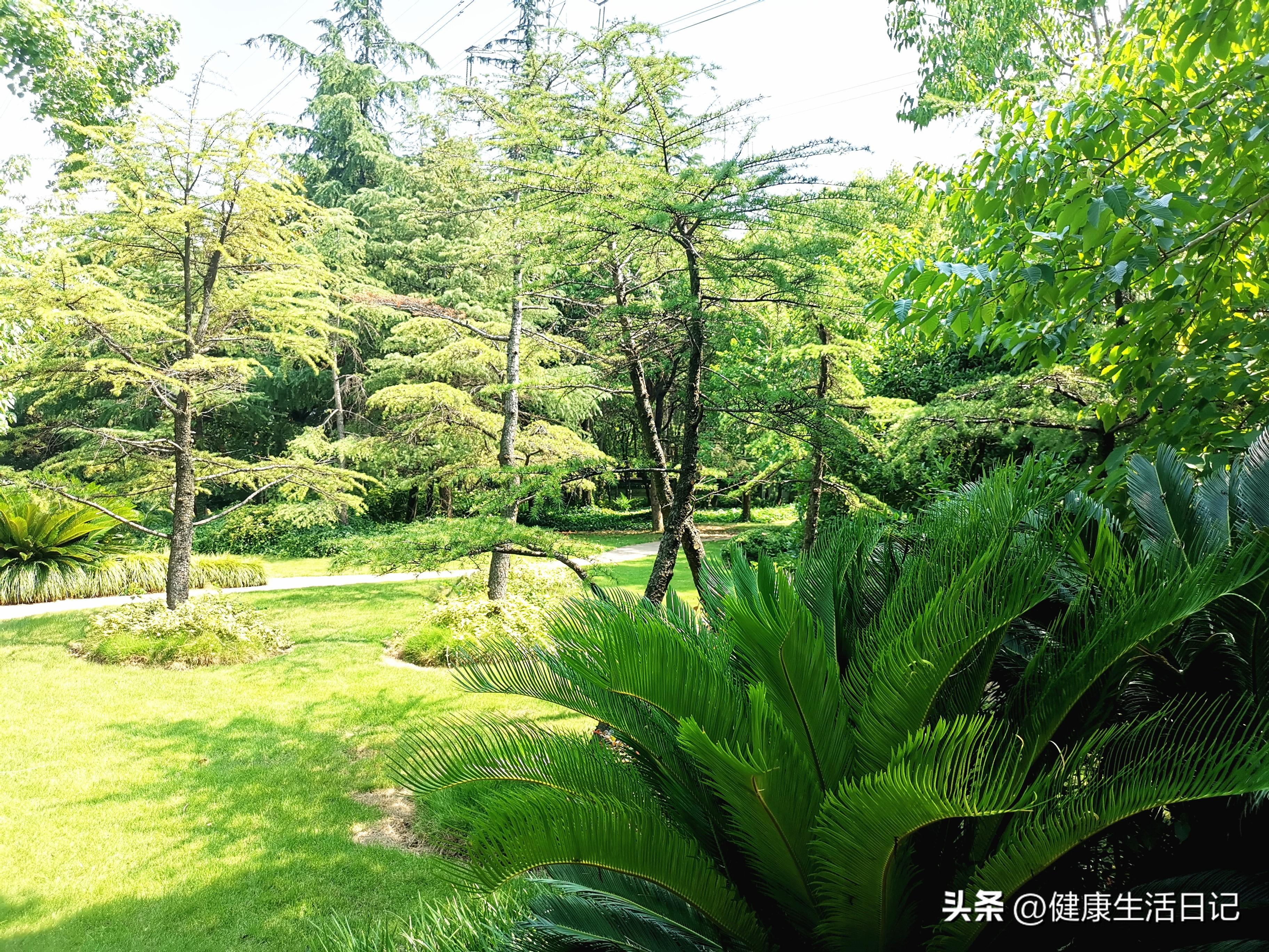 西乡疫情下的自然探索之旅，寻求内心平和与宁静