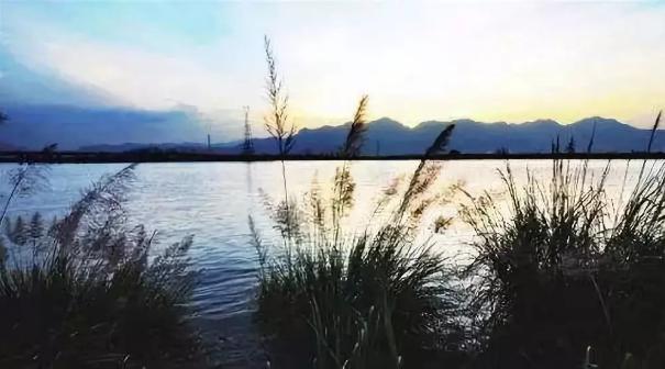 爱拍最新,爱拍最新，探索自然美景的旅行，寻找内心的平和