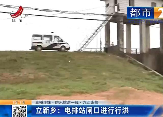 永修最新防洪措施下的堤坝欢乐时光