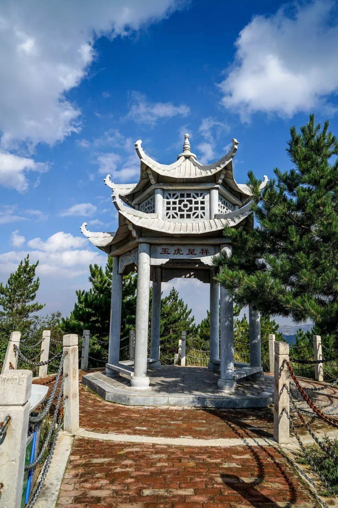 自然之旅，探索美景，远离杀戮的边界