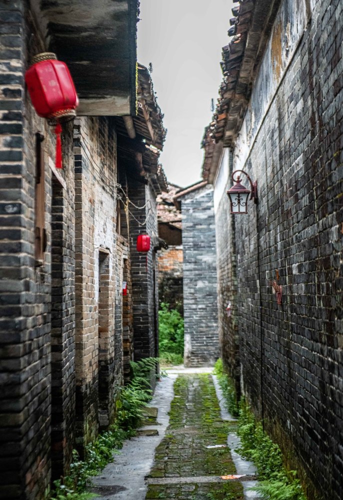 陈群峰带你探索小巷惊喜，隐藏特色小店揭秘
