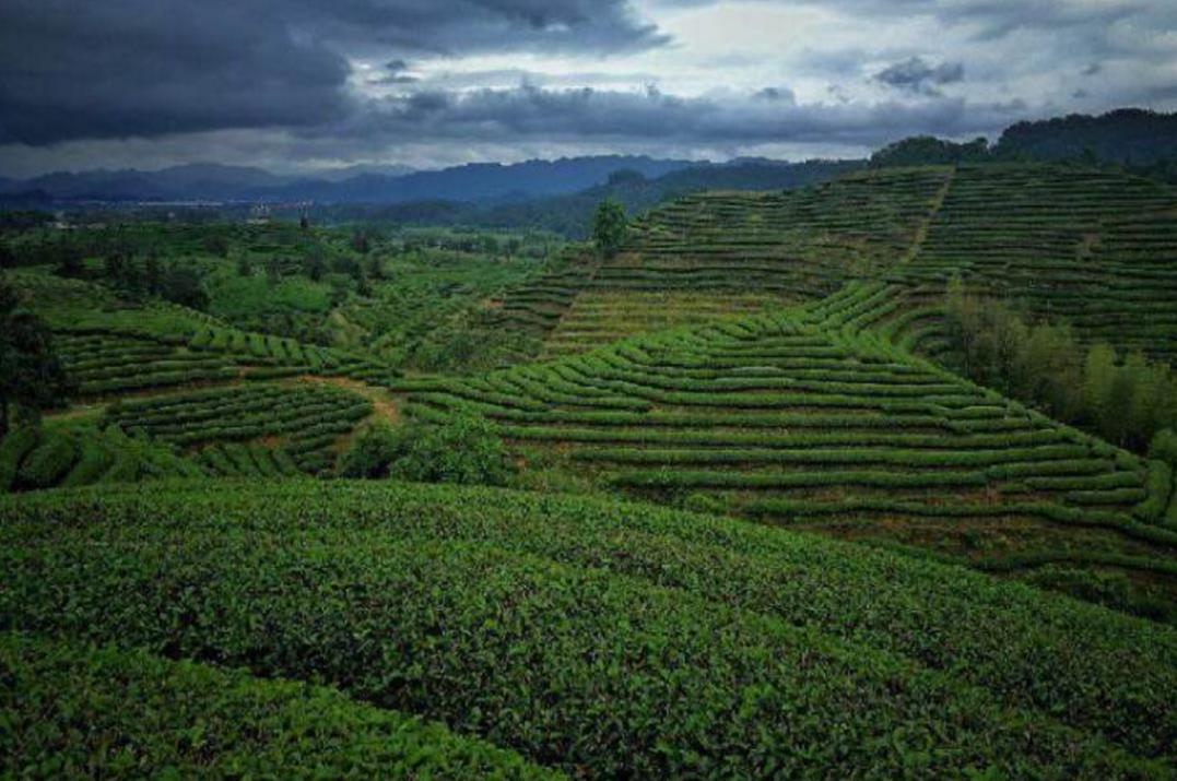 迅雷最新iOS，探索自然美景，寻找内心平和与宁静的旅行