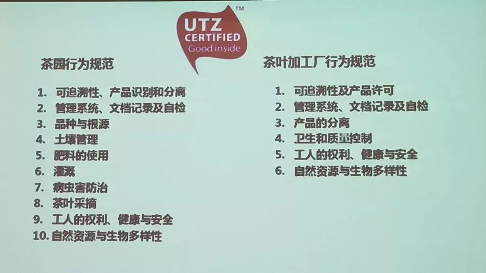 崇义最新疫情观点论述，最新动态与应对策略
