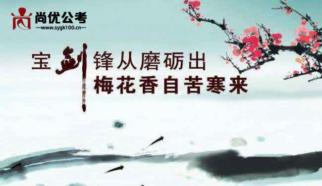 藿香最新行情，香飘四溢，时代变迁中的励志故事领航者