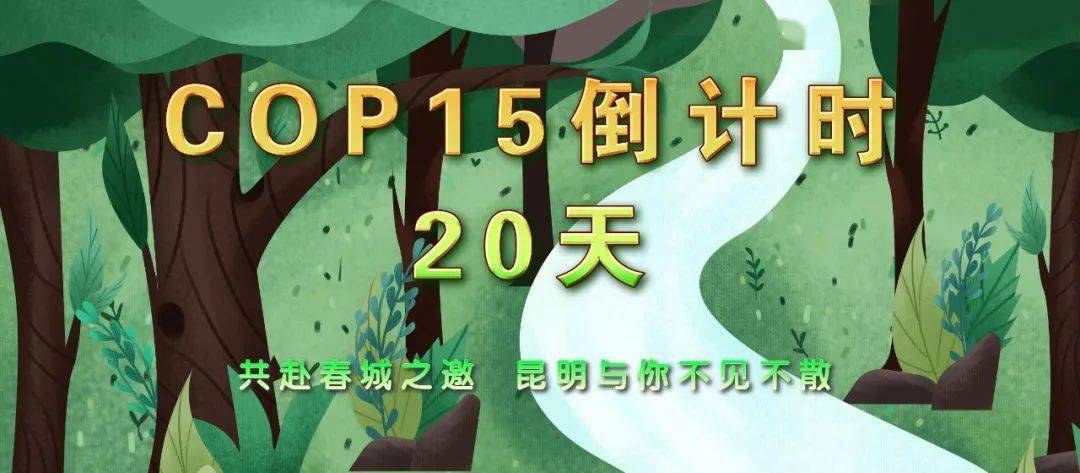 第1180页