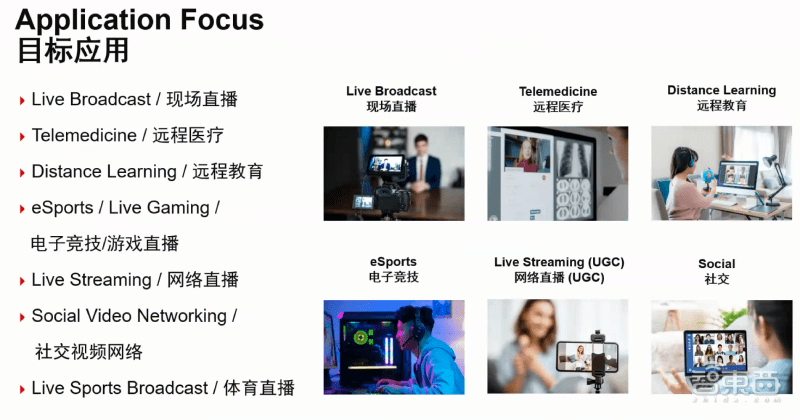 深度探讨，最新减肥视频观点解析