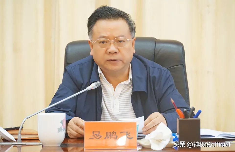 警方雷霆出击，系列案件全破，正义展现速度与力量