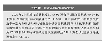 貉最新行情全面解析，指南与步骤详解